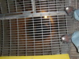 33viewofdrainageventilationShaftHooverDam05jul11