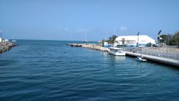 IMG_20150430_090018565