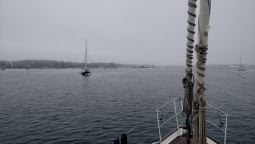 IMG_20150510_085115770 (1)