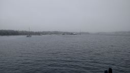 IMG_20150510_085311806